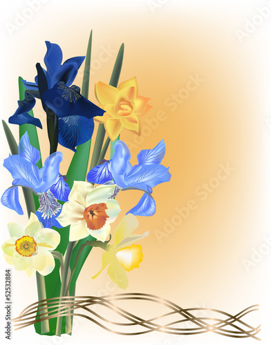 Fototapeta Naklejka Na Ścianę i Meble -  bunch of iris and narcissus flowers