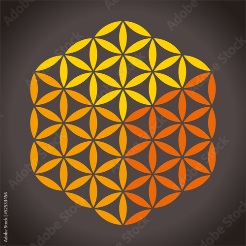 Flower of Life Cube ( Blume des Lebens Würfel )