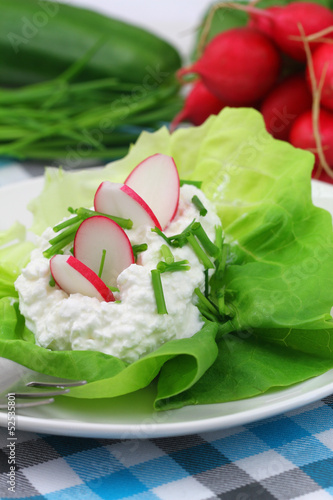 Cottage cheese with chives and radish
