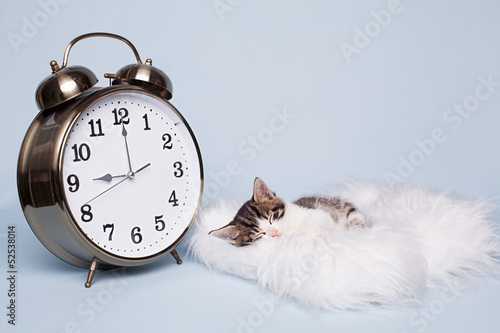 Fototapeta Naklejka Na Ścianę i Meble -  kitten clock