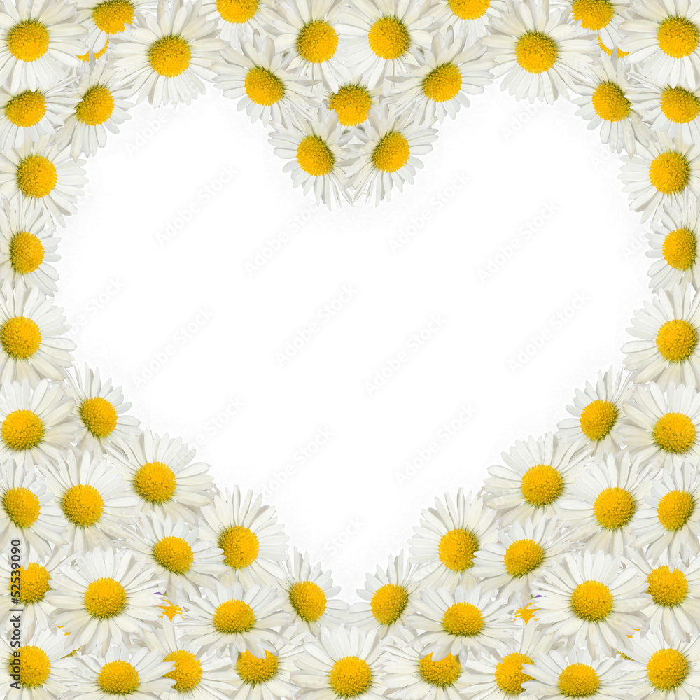 Heart frame of daisies Heart frame of daisies