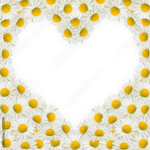 Heart frame of daisies