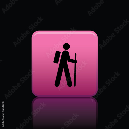 icon web