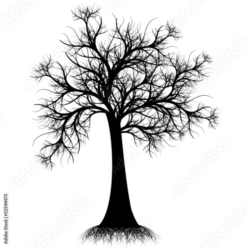 Art tree silhouette isolated on white 