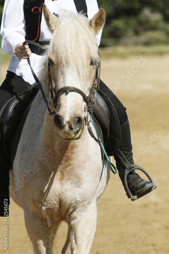 Equitation photo