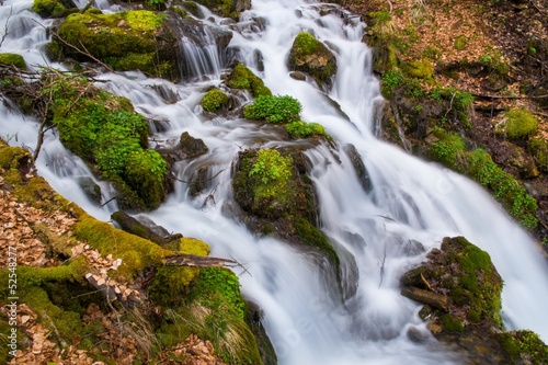 Fast little river in mountain forest