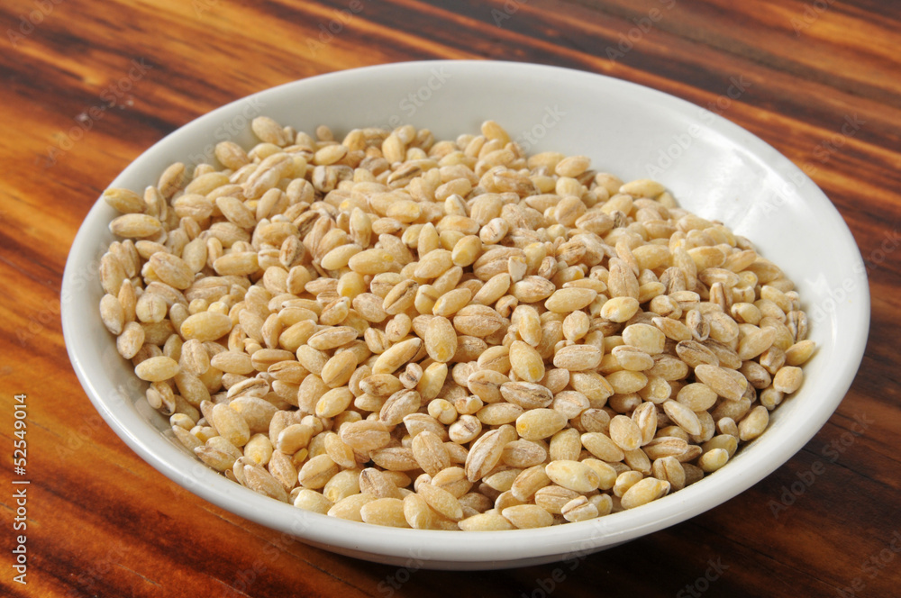 Bowl of Barley