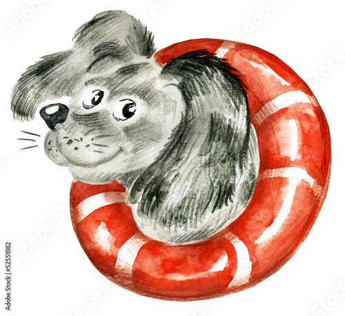 Cute Dog with buoy