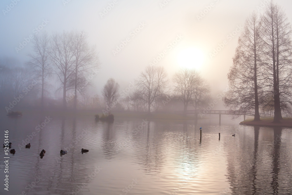 Fototapeta premium misty morning in autumn park