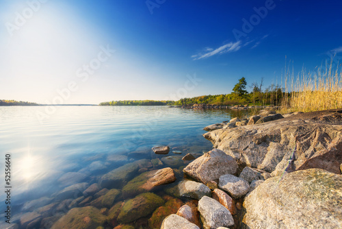 Coastline with boulders and trees