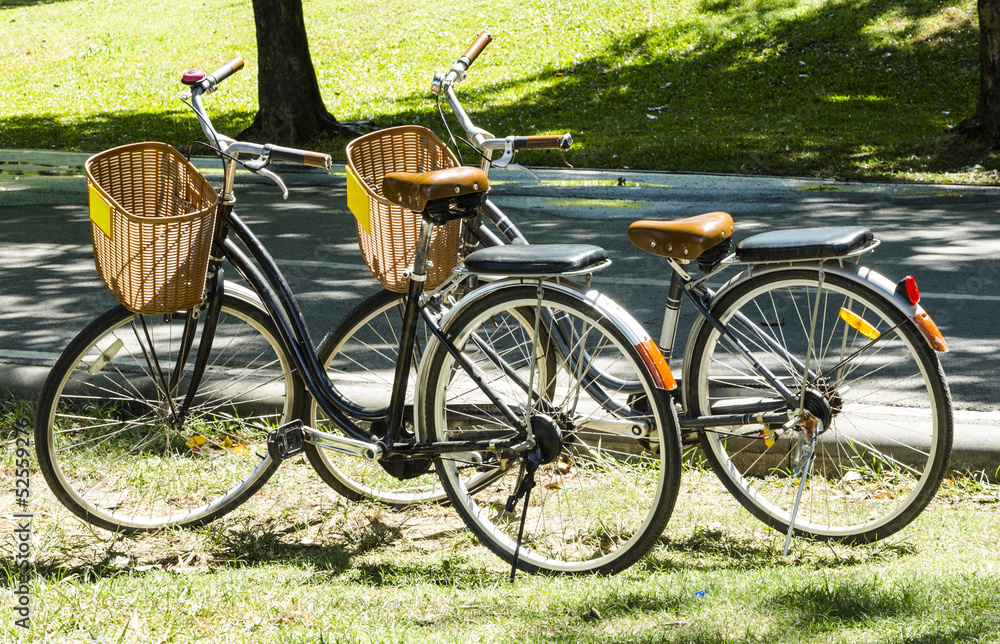 Fototapeta premium Vintage Bicycle