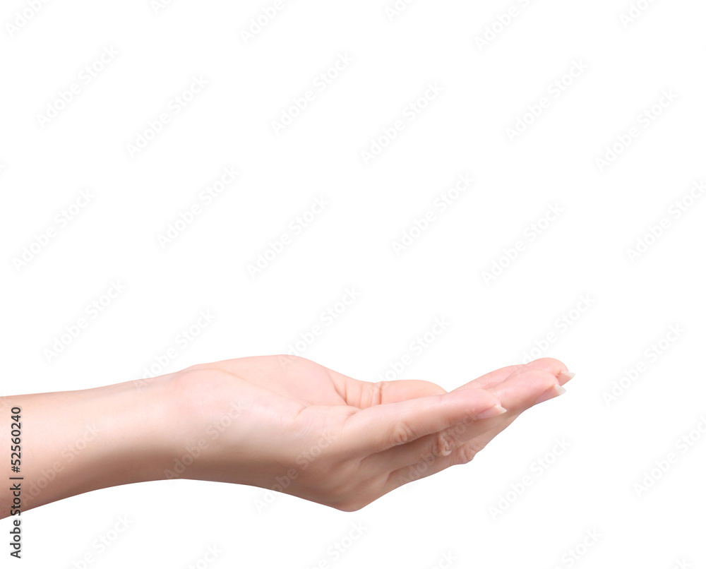 Open palm hand Open palm hand