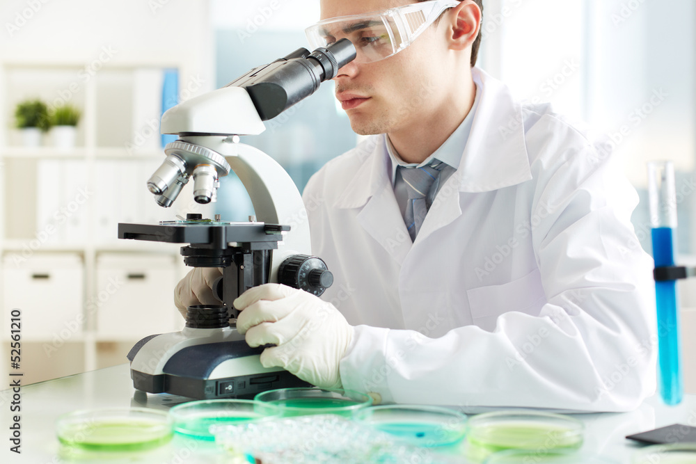 Fototapeta premium Microscope research