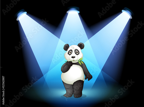 A panda at the center of the stage with spotlights