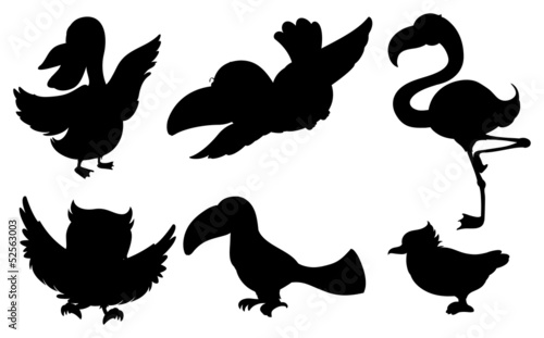 Different silhouettes of birds