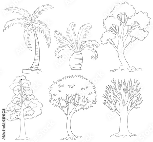 Silhouettes of trees