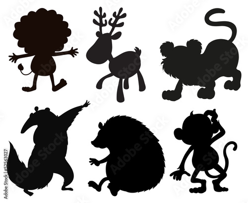 Silhouettes of animals
