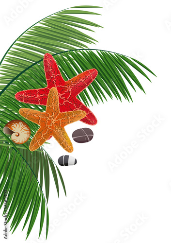 Palm branches, starfishes, pebble and cockleshell