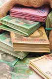 Money bag with hryvna