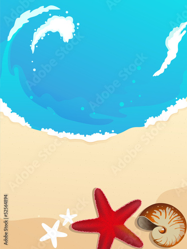 Sandy coast with starfish and cockleshell