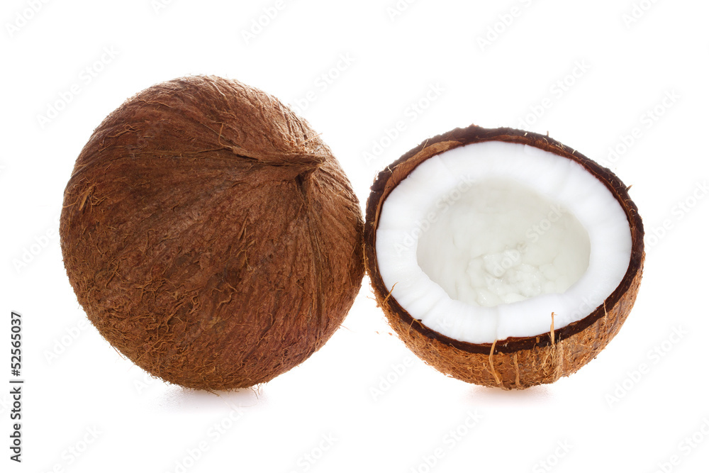 Coconut. Coco Nut isolated on white Background Coconut. Coco Nut isolated on white Background