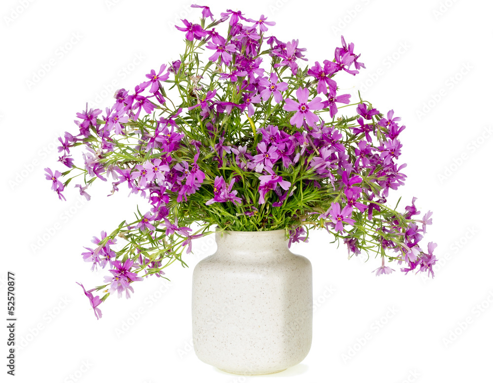 Gentle pinc organic Gentle pinc organic
