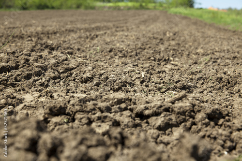 plowed fields