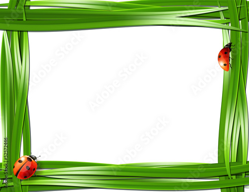 Grass frame with ladybugs.