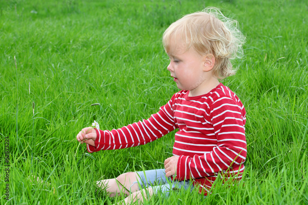 Kleines Mädchen pflückt eine Blume Kleines Mädchen pflückt eine Blume