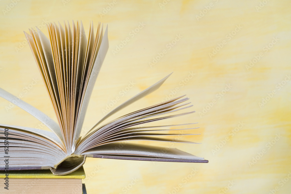 Fototapeta premium open book, close up,selective focus,copy space