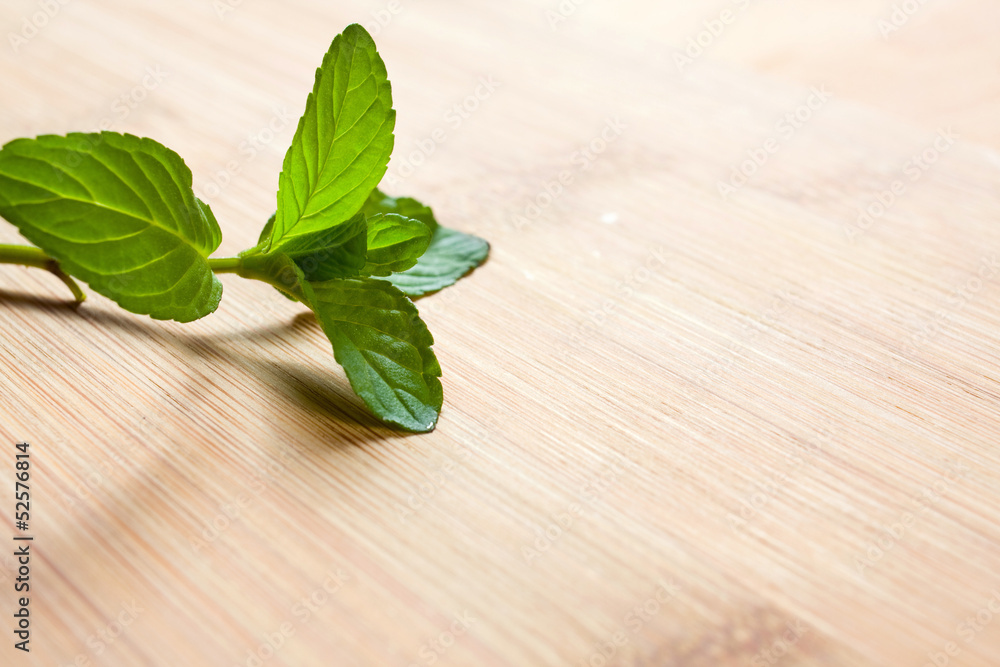 bunch of fresh green mint bunch of fresh green mint