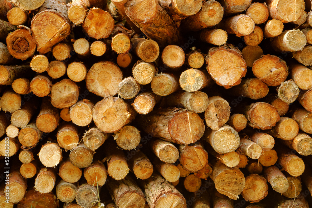 Wood stack Wood stack