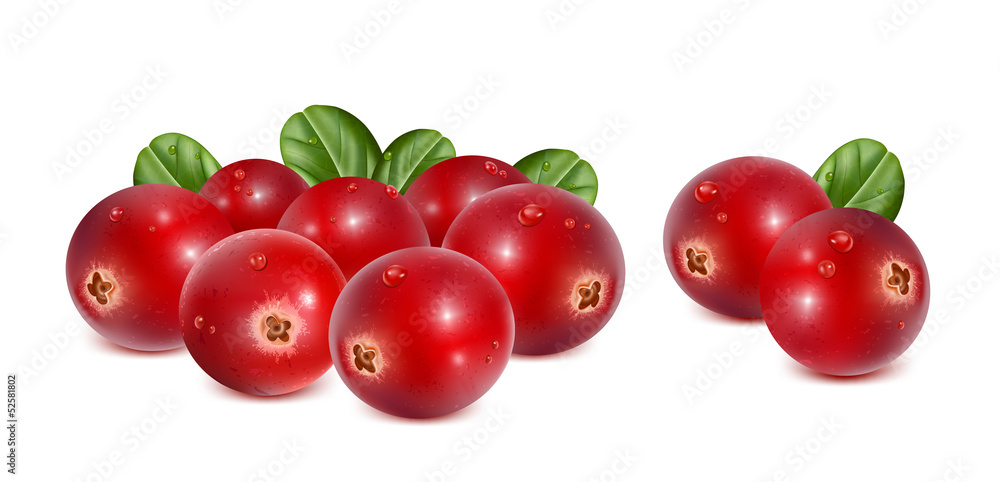 Cranberries with leaves and water drops Cranberries with leaves and water drops