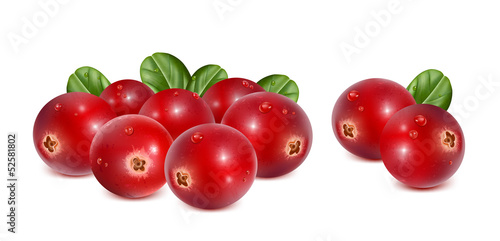 Cranberries with leaves and water drops