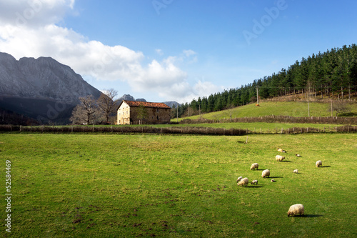 Photography basque farm house with seep