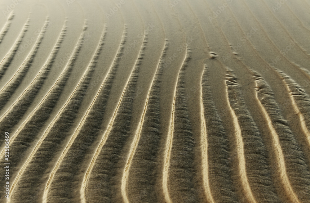 Fototapeta premium Wet sand.