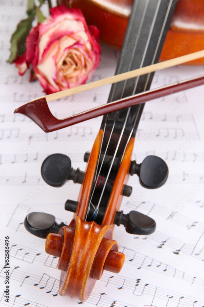 Fototapeta premium Classical violin with dry rose on notes