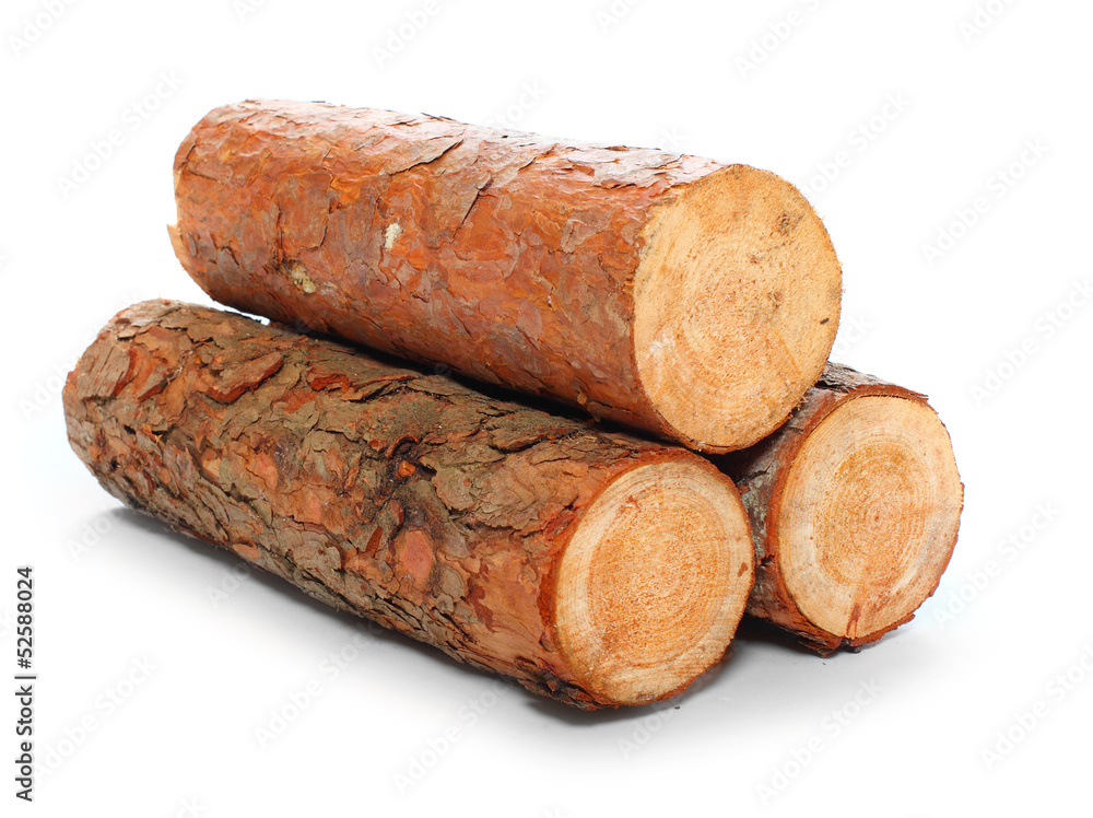 Cut log fire wood from pine tree. Cut log fire wood from pine tree.