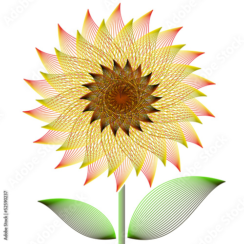 Big sunflower