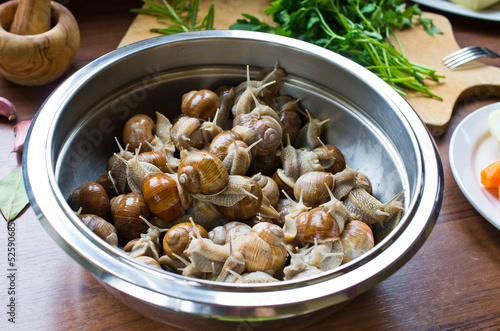 Snails in the bowl during preparation