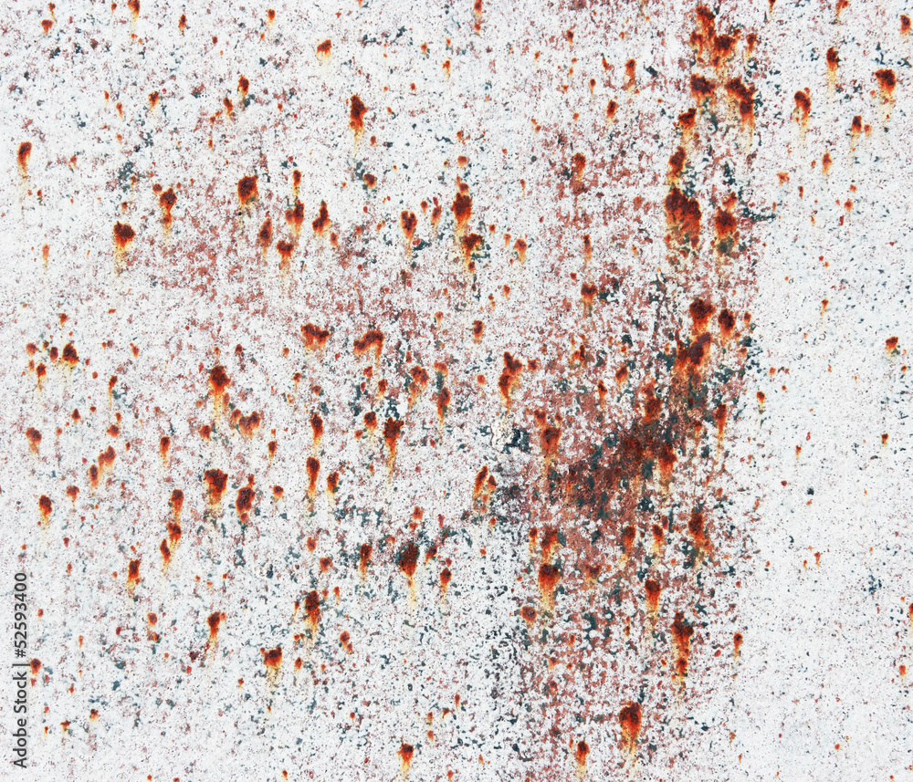Rusty old metal plate with white gloss paint.
