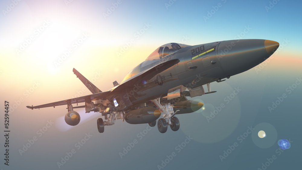 Obraz premium 戦闘機