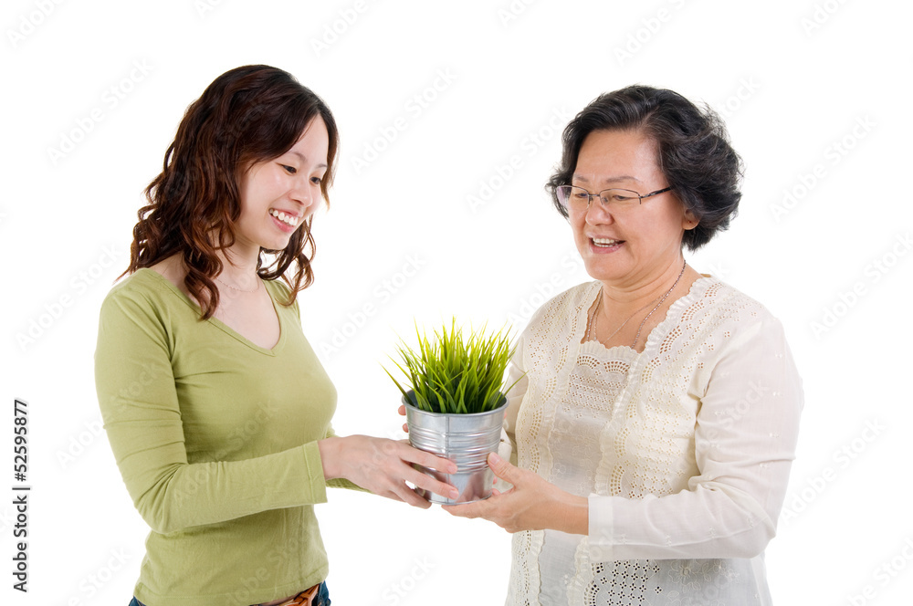 Senior woman and daughter holding a pot plant. Senior woman and daughter holding a pot plant.