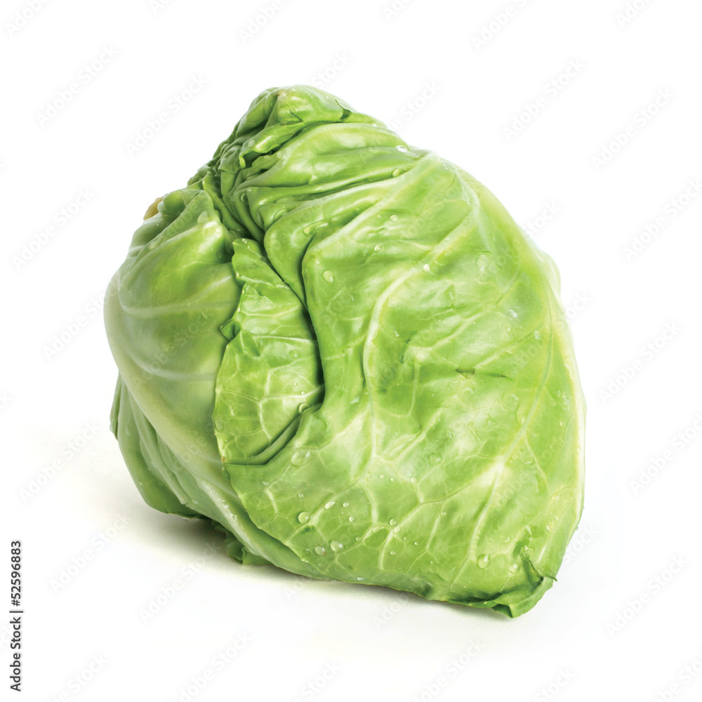 cabbage cabbage