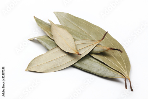 Dry Bay Leaves Isolated on White Background
