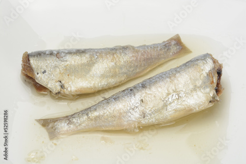 Fotografie Sardinas en aceite vegetal