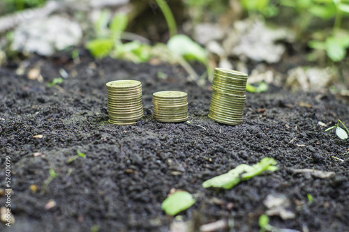 Golden coins in soil with young plant. Money growth concept. photo