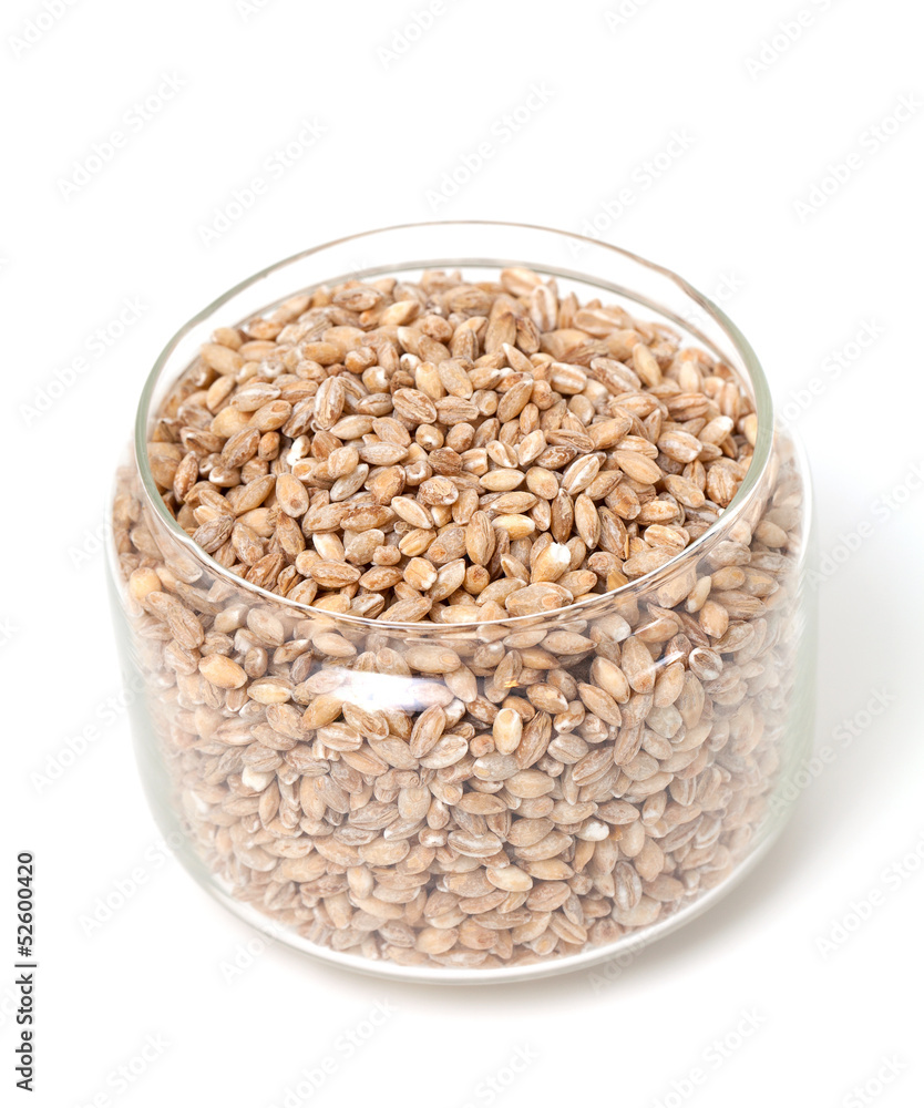 pearl barley in a glass jar pearl barley in a glass jar