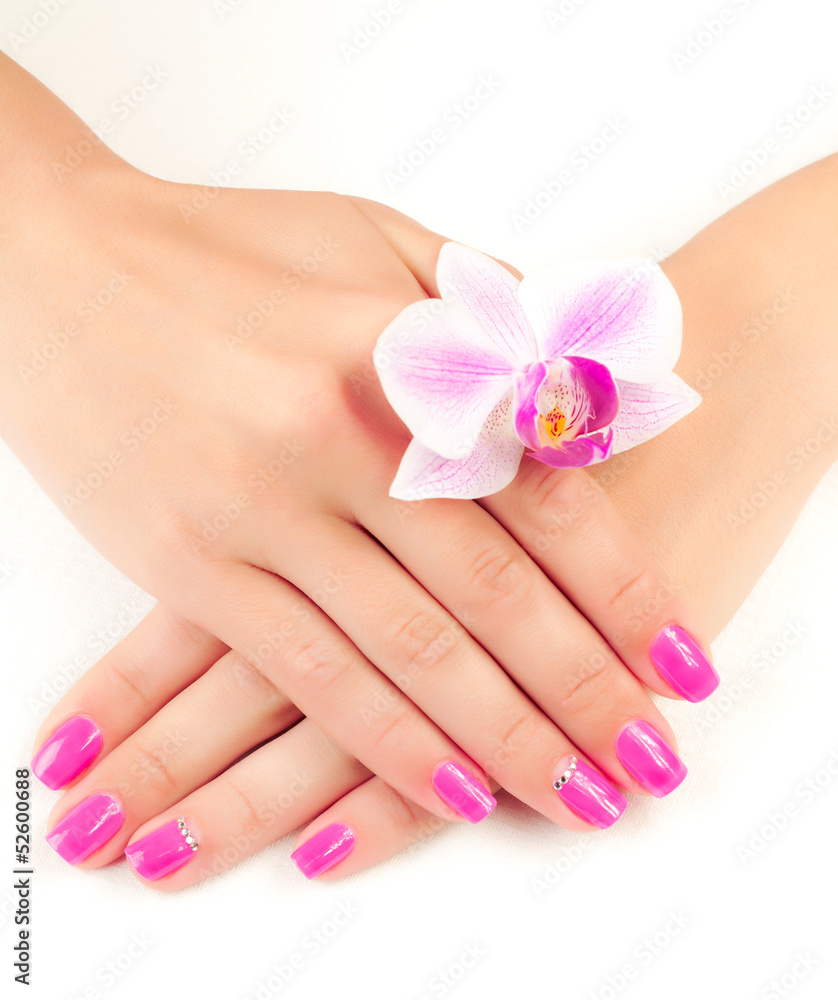 pink manicure with orchid flower. isolated