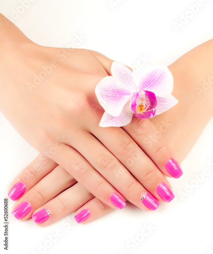pink manicure with orchid flower. isolated